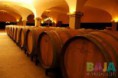 /album/fotogaleria-turismo/images-5-jpg/